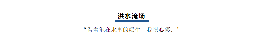 【乳報·聚焦】“豫”難而上的中原牛人“太中了”！
